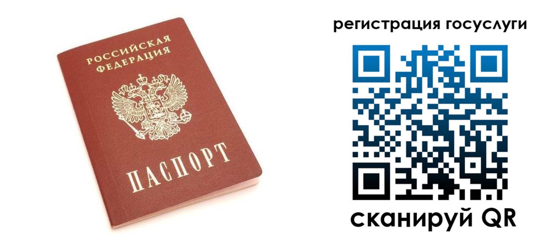 прописка 2025 в Скопине